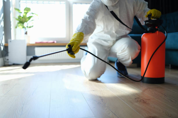 Reliable Infectious Disease Decontamination contractor in Acton, CA by Trauma Clean Pros